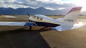 Piper PA-24 Single Comanche Paint
