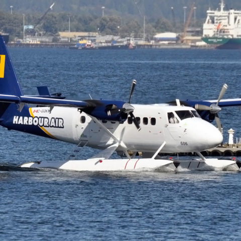 Twin Otter DHC-6 Paint for Harbour Air